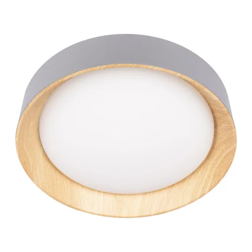 Светильник потолочный LED Coin 10202 Grey LOFT IT белый 1 лампа, основание коричневое серое в стиле современный  фото 5