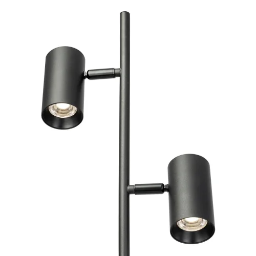 Торшер LED Twin CL809011N Citilux для чтения чёрный на 2 лампы, основание чёрное в стиле современный минимализм фото 4