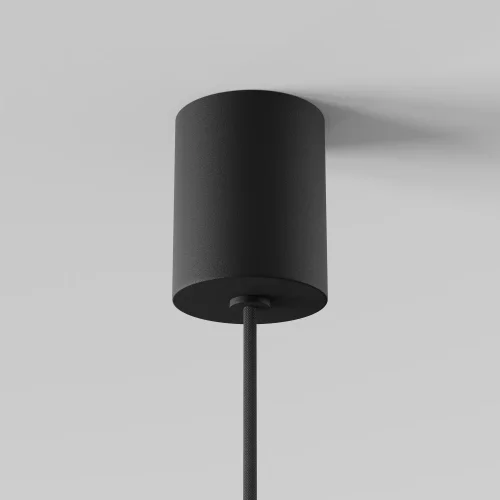 Светильник подвесной Monochrome MOD071PL-L8B3K1 Maytoni прозрачный чёрный 1 лампа, основание чёрное в стиле современный арт-деко выдувное фото 5