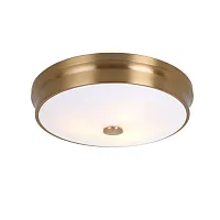 Светильник потолочный Pannikin 2375-3C Favourite белый 3 лампы, основание латунь в стиле современный тарелка круглый