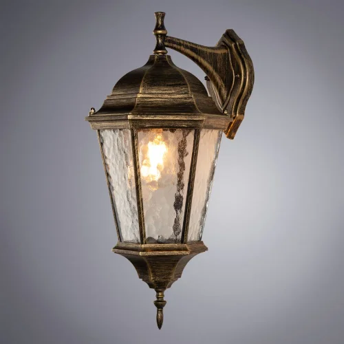 Настенный светильник Genova A1204AL-1BN Arte Lamp уличный IP44 коричневый золотой 1 лампа, плафон прозрачный в стиле современный E27 фото 4
