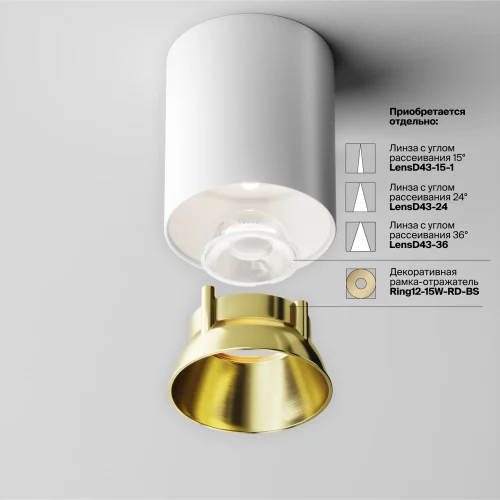 Светильник накладной LED Alfa LED C064CL-12W4K-RD-WB Maytoni белый на 1 лампу, основание белое в стиле хай-тек современный круглый фото 5