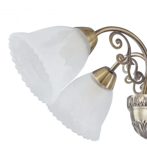 Люстра подвесная Amalfi-8544 338544/5 AB Arte Milano белая на 5 ламп, основание бронзовое в стиле современный фото 8