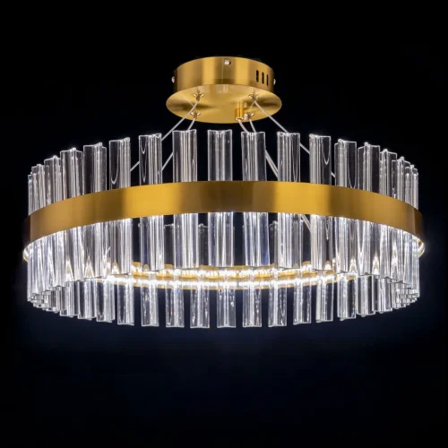 Люстра подвесная LED с пультом Рианна CL337053 Citilux прозрачная на 1 лампа, основание бронзовое в стиле современный лофт арт-деко с пультом фото 9