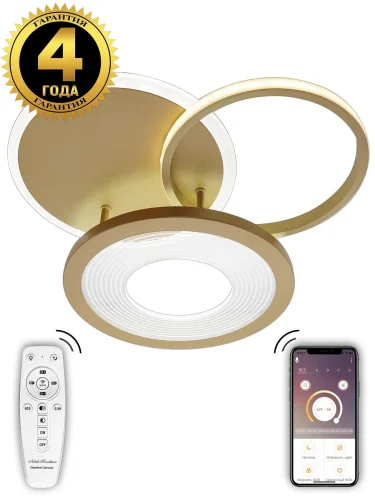 Люстра потолочная с пультом LED LAMPS 81300 Natali Kovaltseva золотая на 1 лампу, основание золотое в стиле хай-тек с пультом кольца