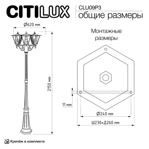 Парковый светильник Forts CLU09P3 Citilux уличный IP54 чёрный на 3 лампы, плафон прозрачный в стиле современный классический E27 фото 12