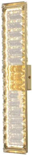 Бра LED Manor 4195-2W Favourite прозрачный на 2 лампы, основание золотое в стиле классический 