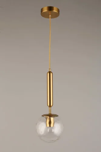 Светильник подвесной Lora APL.728.06.01 Aployt прозрачный 1 лампа, основание латунь в стиле современный лофт шар фото 2