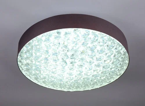 Светильник потолочный LED с пультом 10246/1LED Escada прозрачный 1 лампа, основание коричневое в стиле современный с пультом фото 4