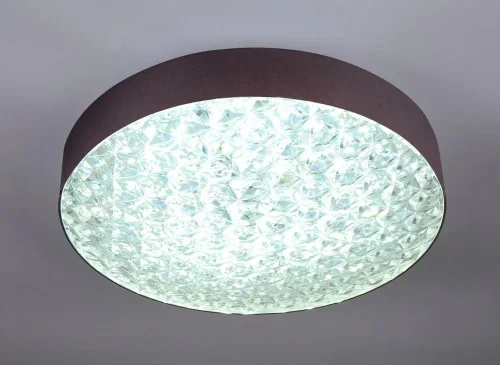 Светильник потолочный LED с пультом 10246/1LED Escada прозрачный на 1 лампу, основание коричневое в стиле современный с пультом фото 4