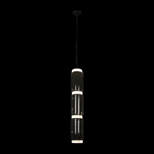 Светильник подвесной LED Noctambule 10194/L LOFT IT прозрачный 1 лампа, основание чёрное в стиле современный  фото 2