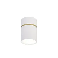 Светильник накладной Dunia 3067-1C Favourite белый 1 лампа, основание белое в стиле модерн круглый