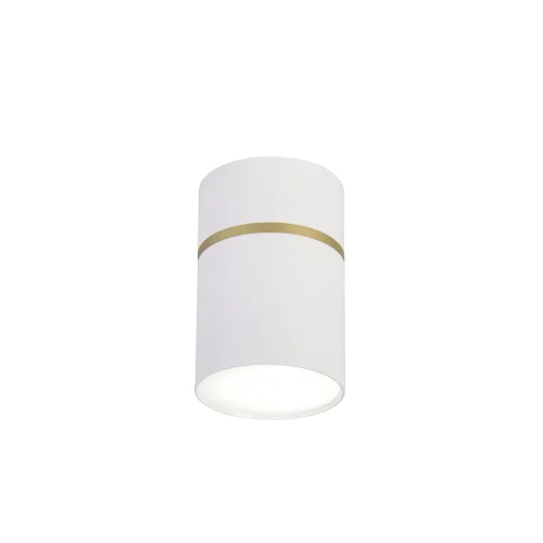 Светильник накладной Dunia 3067-1C Favourite белый 1 лампа, основание белое в стиле современный круглый