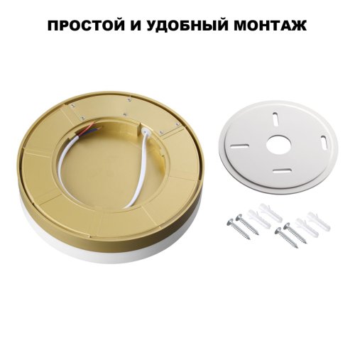 Потолочный светильник ЛЕД уличный Опал (Opal) 359733 Novotech уличный IP65 матовый золото на 1 лампу, плафон белый в стиле современный минимализм хай-тек лофт ЛЕД фото 6
