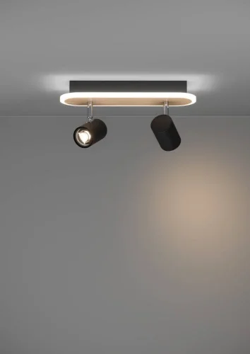 Спот с 2 лампами LED Rimbocchi 901632 Eglo чёрный LED в стиле современный фото 7 Спот с 2 лампами LED Rimbocchi 901632 Eglo чёрный LED в стиле современный фото 7