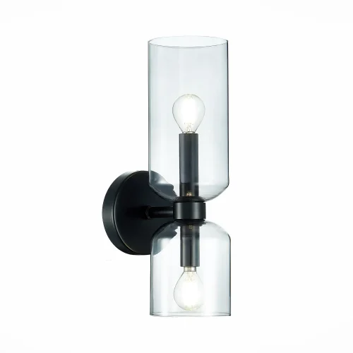 Бра Treviso SL1180.401.02 ST-Luce прозрачный серый на 2 лампы, основание чёрное в стиле современный 