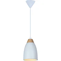 Светильник подвесной Leah TL0724H-2W Toplight белый 1 лампа, основание белое в стиле современный 