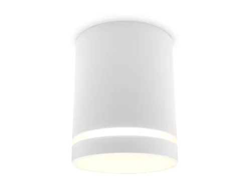 Светильник накладной TN3202 Ambrella light белый 1 лампа, основание белое в стиле современный круглый фото 6