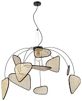 Светильник подвесной Palma WE520.02.713 Wertmark коричневый бежевый 1 лампа, основание чёрное в стиле современный кантри 