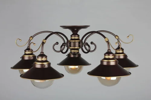 Люстра потолочная Fontelo OML-50407-05 Omnilux прозрачная на 5 ламп, основание коричневое в стиле кантри  фото 6