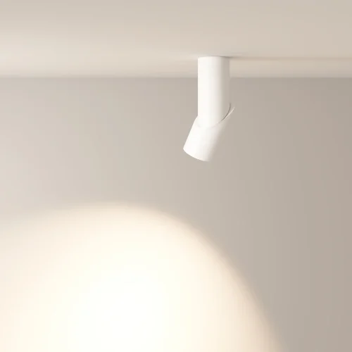 Светильник накладной LED Dafne C027CL-L10W4K Maytoni белый на 1 лампу, основание белое в стиле современный хай-тек круглый фото 11
