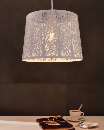 Светильник подвесной Hambleton 49489 Eglo белый 1 лампа, основание белое в стиле современный прованс  фото 3