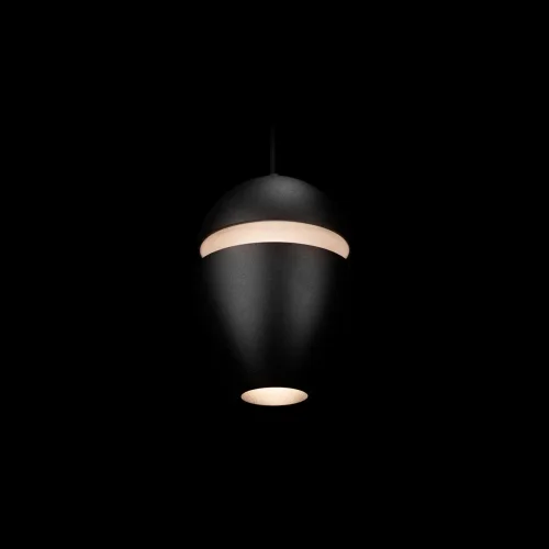 Светильник подвесной LED Viterbo 10336 Black LOFT IT чёрный 1 лампа, основание чёрное в стиле современный хай-тек  фото 4