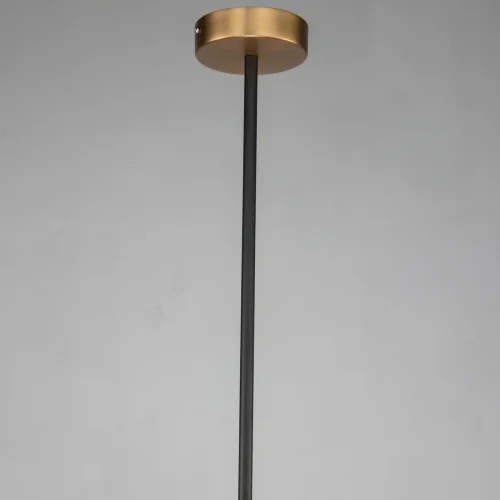 Светильник подвесной Roshe 2624-1P Favourite белый 1 лампа, основание латунь в стиле кантри современный  фото 4