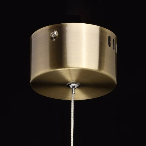 Светильник подвесной LED Крайс 657011101 DeMarkt прозрачный 1 лампа, основание бронзовое в стиле современный шар фото 12