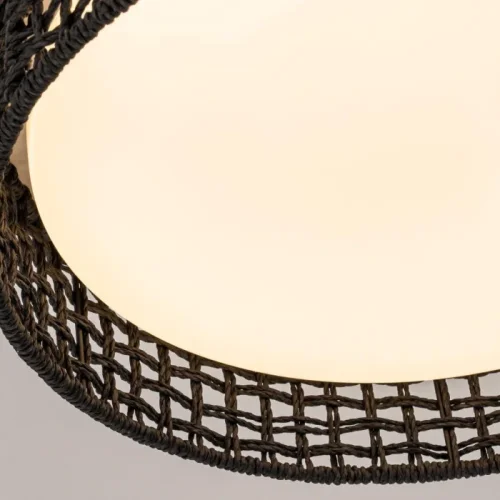 Люстра потолочная LED с пультом Conrad 4750-4C F-promo белая чёрная на 1 лампу, основание чёрное в стиле современный с пультом фото 2
