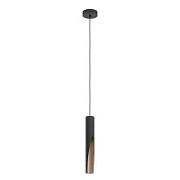 Светильник подвесной LED Barbotto 900874 Eglo чёрный 1 лампа, основание чёрное в стиле современный трубочки