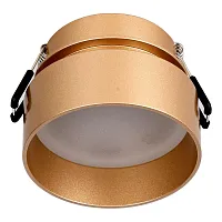 Светильник точечный Inserta 2885-1C Favourite золотой 1 лампа, основание золотое в стиле модерн 