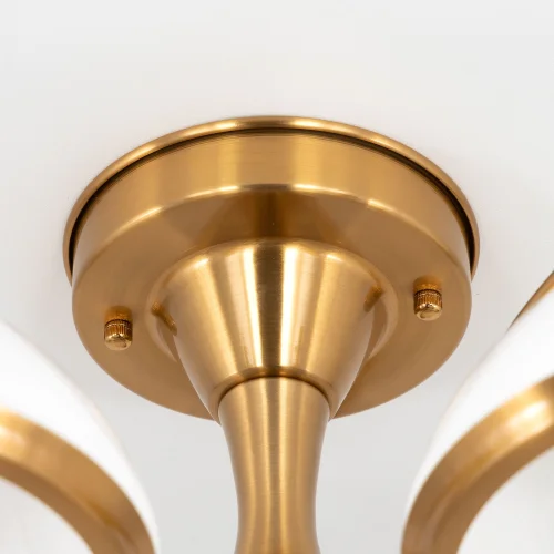 Люстра Краков потолочная CL401153 Citilux белая на 5 ламп, основание жёлтое бронзовое в стиле современный фото 6