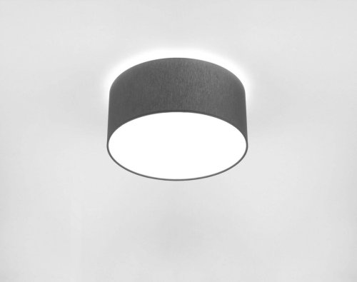 Светильник потолочный Cameron Gray 9687-NW Nowodvorski серый 2 лампы, основание серое в стиле современный 