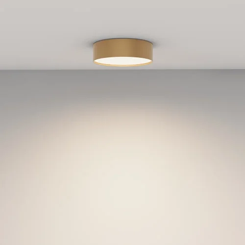 Светильник потолочный LED Zon C032CL-24W4K-RD-MG Maytoni белый 1 лампа, основание матовое золото в стиле современный  фото 3