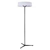 Торшер LED Alma 1029/06 PN-11 Divinare белый на 1 лампу, основание чёрное в стиле современный 