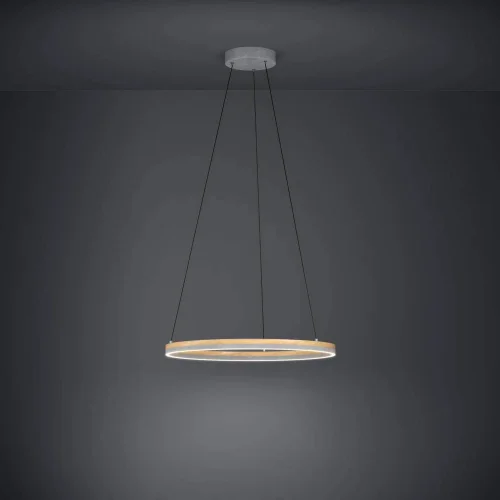 Светильник подвесной LED Cadinaro 39896 Eglo серый коричневый на 1 лампу, основание серое в стиле современный фото 2
