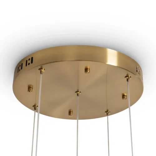 Светильник подвесной LED Flower FR5579PL-L40BS Freya прозрачный на 1 лампу, основание латунь в стиле современный каскад фото 6