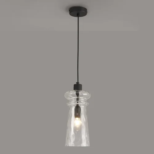 Светильник подвесной Pasti 4966/1 Odeon Light прозрачный 1 лампа, основание чёрное в стиле современный  фото 4