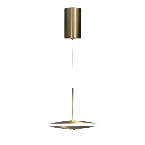 Светильник подвесной LED Ruedo 10036/200 LOFT IT золотой 1 лампа, основание золотое в стиле модерн хай-тек  фото 3
