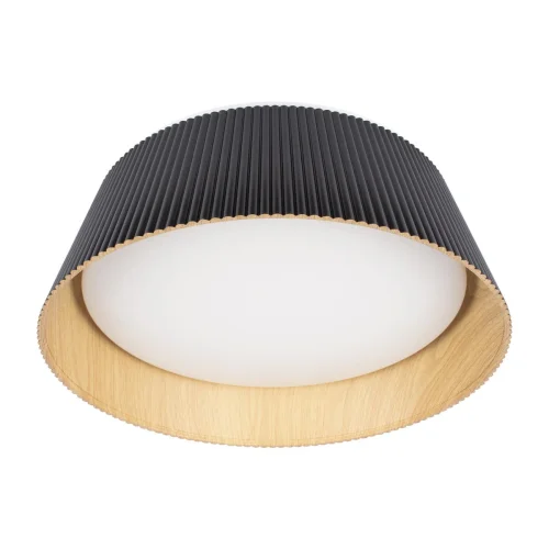 Светильник потолочный LED Evans 10224 Black LOFT IT белый 1 лампа, основание коричневое чёрное в стиле современный  фото 3
