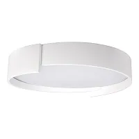 Светильник потолочный LED Coin 10200 White LOFT IT белый 1 лампа, основание белое в стиле современный тарелка