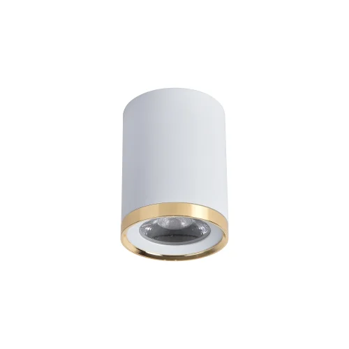 Светильник накладной LED Prakash 3085-1C Favourite белый 1 лампа, основание белое в стиле современный круглый фото 2