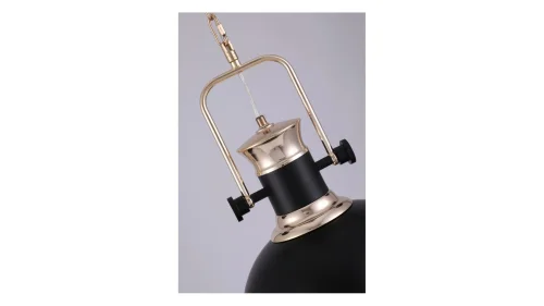 Светильник подвесной лофт Batore LDP 274-1 BK Lumina Deco чёрный 1 лампа, основание чёрное в стиле лофт  фото 5