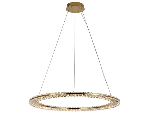 Светильник подвесной LED 8241/800 gold NEW Newport прозрачный на 1 лампу, основание золотое в стиле современный классический американский кольца