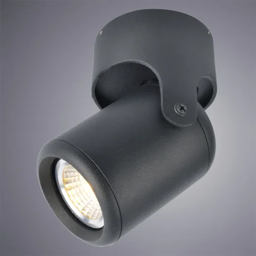 Светильник накладной Libra A3316PL-1BK Arte Lamp чёрный 1 лампа, основание чёрное в стиле современный круглый фото 2