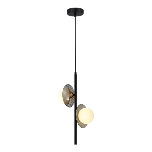 Светильник подвесной Noon SL1521.403.02 ST-Luce серый чёрный на 2 лампы, основание чёрное в стиле современный 