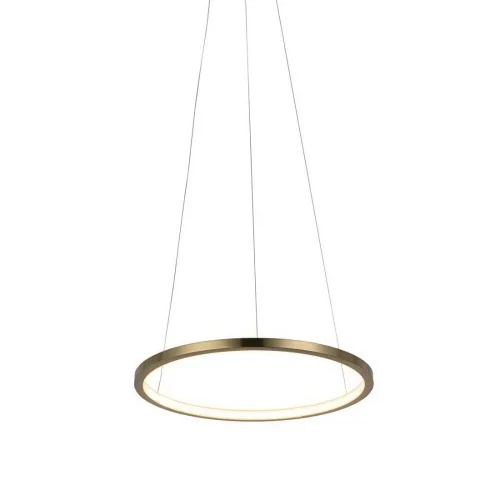 Светильник подвесной LED Ring 10014S LOFT IT золотой 1 лампа, основание золотое в стиле хай-тек кольца фото 5