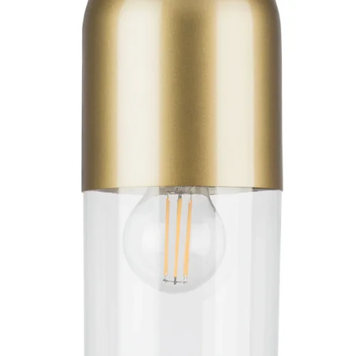 Бра Ramo 690513 Lightstar прозрачный на 1 лампа, основание матовое золото в стиле современный  фото 4