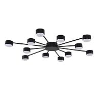 Светильник потолочный Torina 8344/12C Lumion чёрный на 12 ламп, основание чёрное в стиле минимализм 